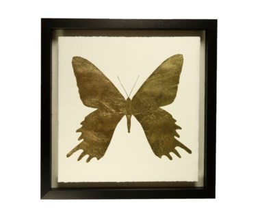 Butterfly - B
